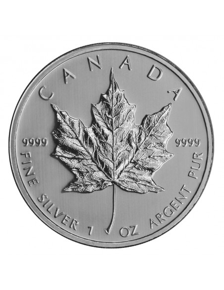 Maple Leaf Argent